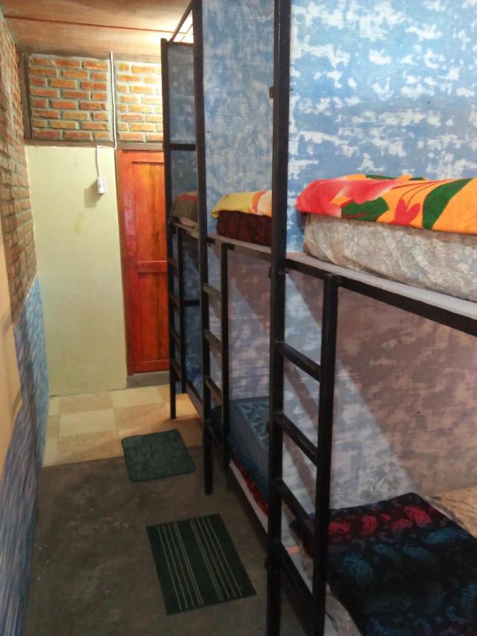Salty Dog Hostel Telukdalem エクステリア 写真