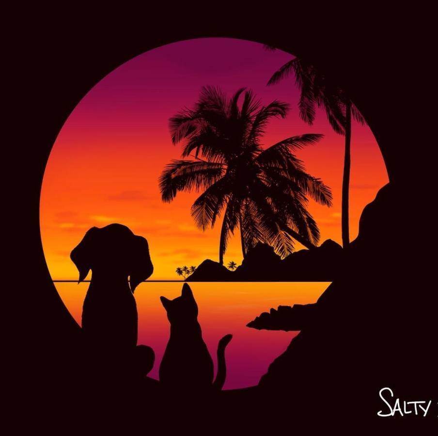 Salty Dog Hostel Telukdalem エクステリア 写真