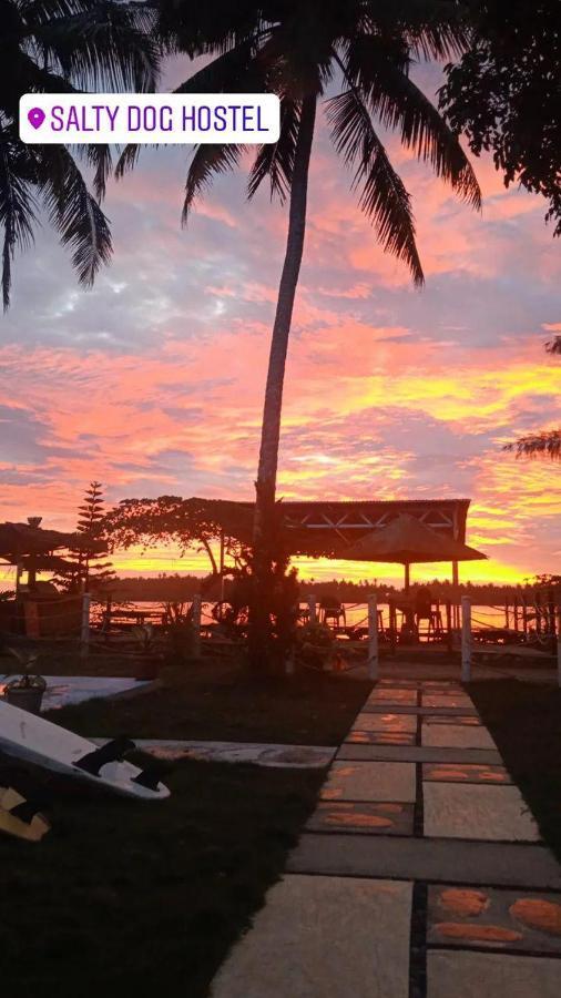 Salty Dog Hostel Telukdalem エクステリア 写真