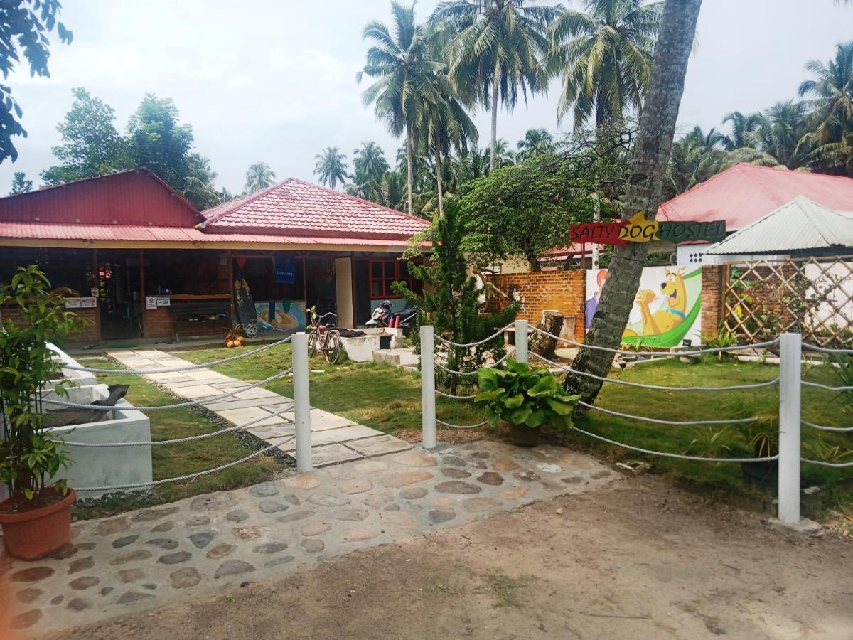 Salty Dog Hostel Telukdalem エクステリア 写真