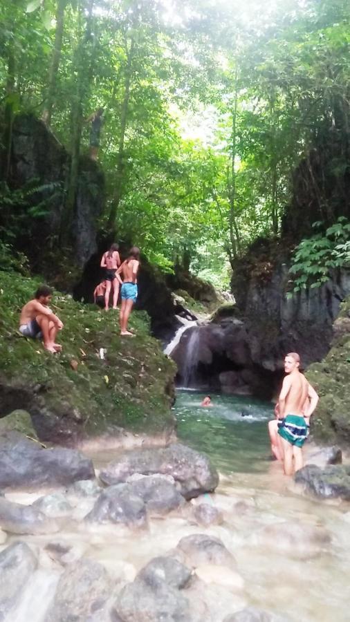 Salty Dog Hostel Telukdalem エクステリア 写真