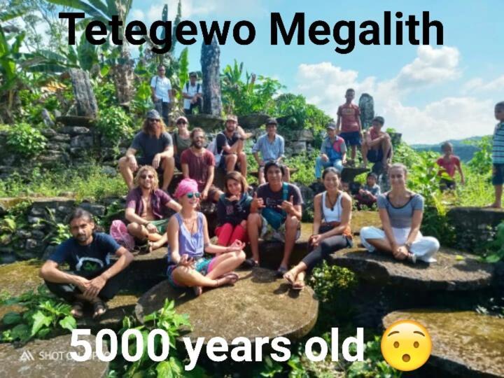Salty Dog Hostel Telukdalem エクステリア 写真