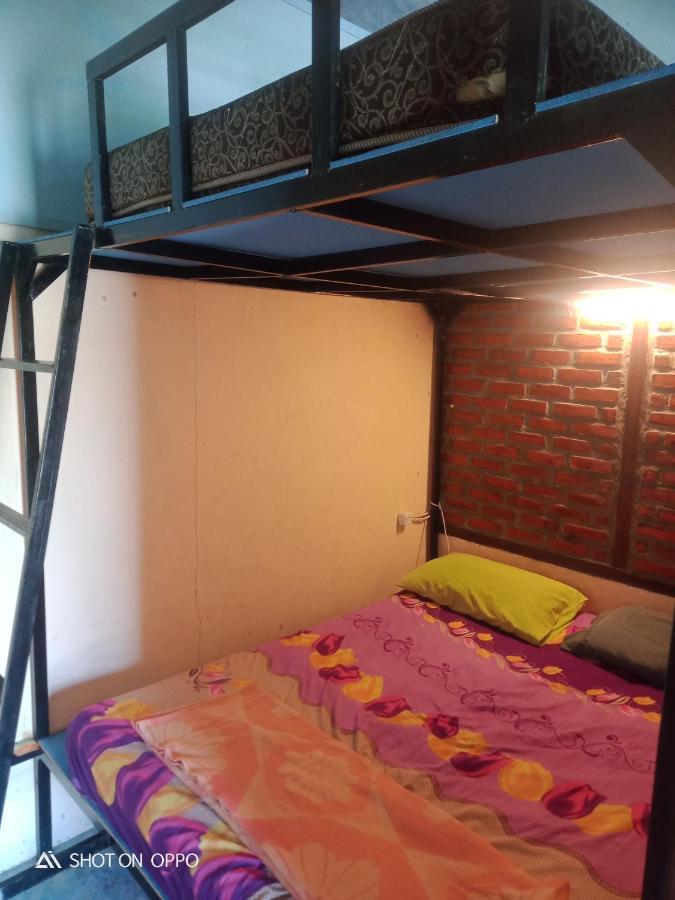 Salty Dog Hostel Telukdalem エクステリア 写真