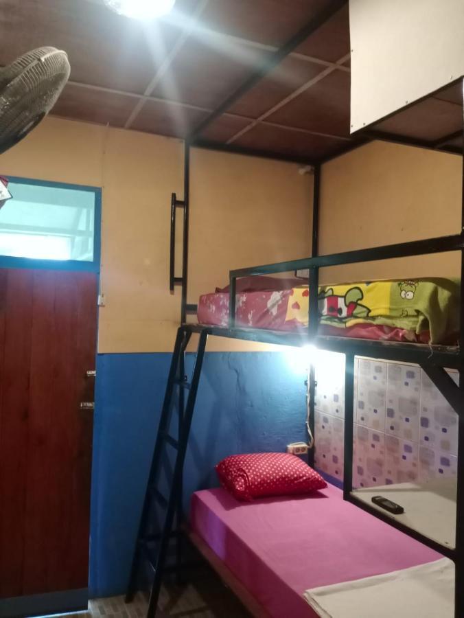 Salty Dog Hostel Telukdalem エクステリア 写真